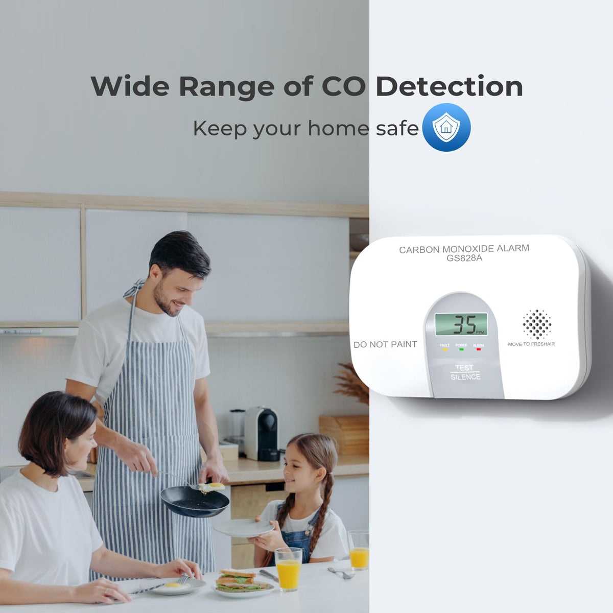 Carbon Monoxide Detector M1375