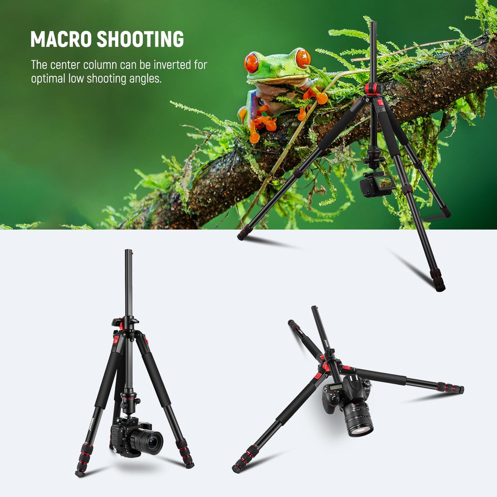 72 Inch Camera Tripod Monopod with Ball Head W77203
