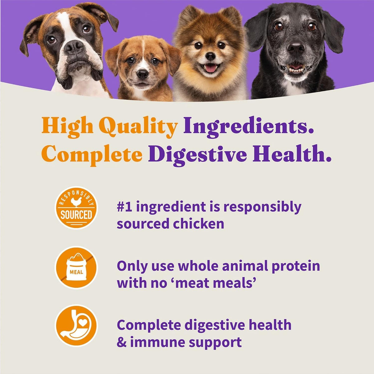 Dry Dog Food, Cage-Free Chicken & Brown Rice Recipe, 21 lb X618