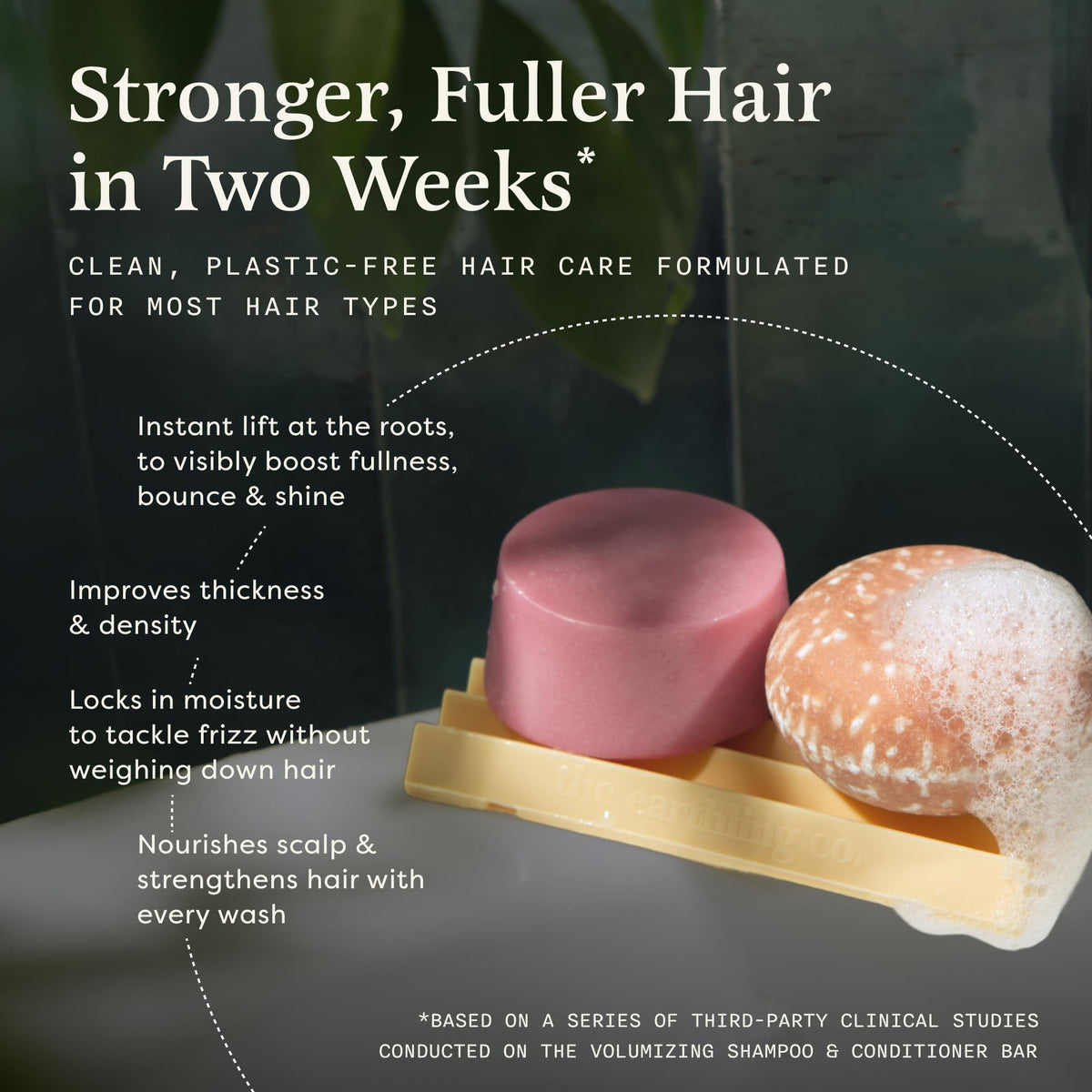 Shampoo & Conditioner Bar Set X8648