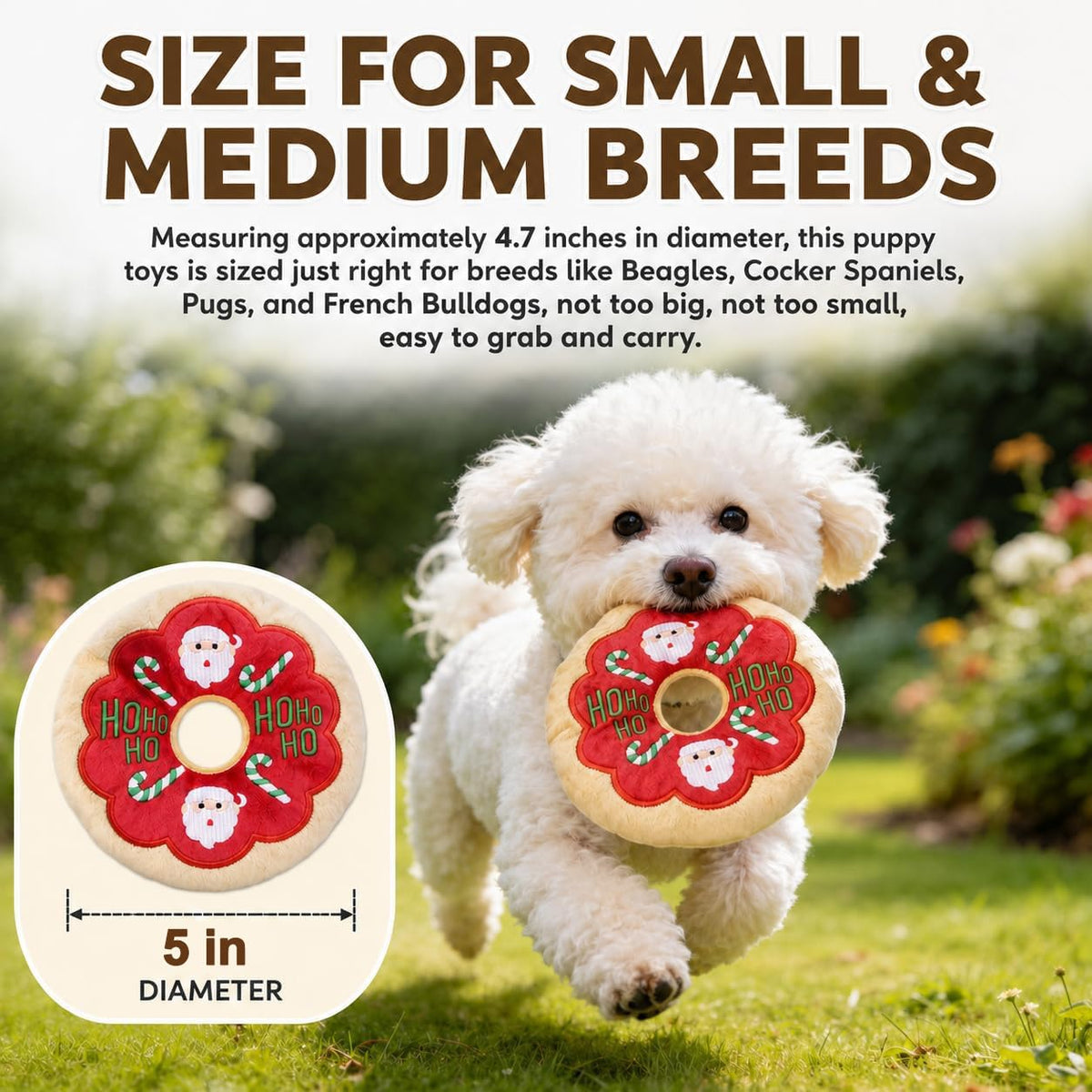 Plush Squeak Toy 1 Pack Z59220