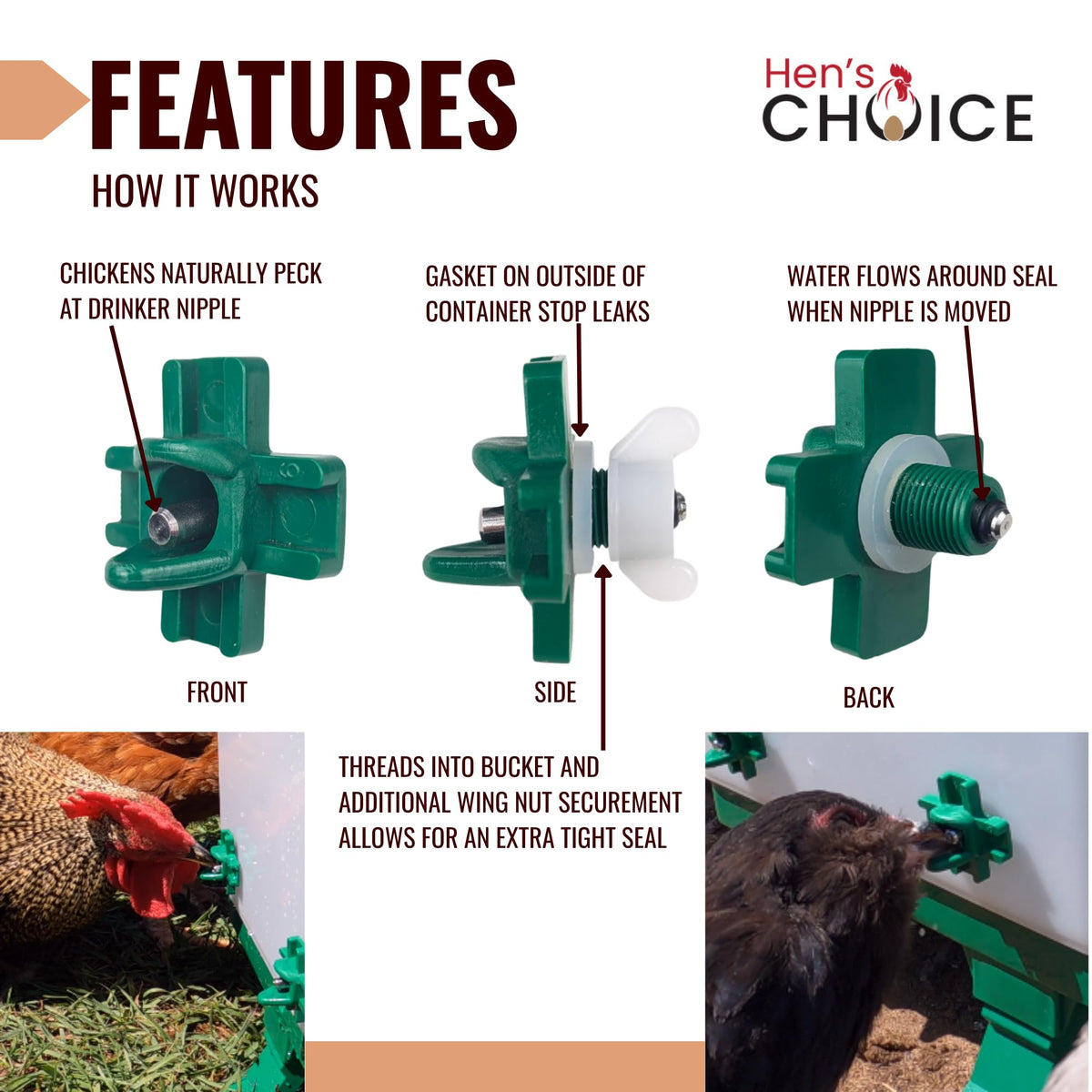 5 Gallon Chicken Waterer with 8 Nipples V681