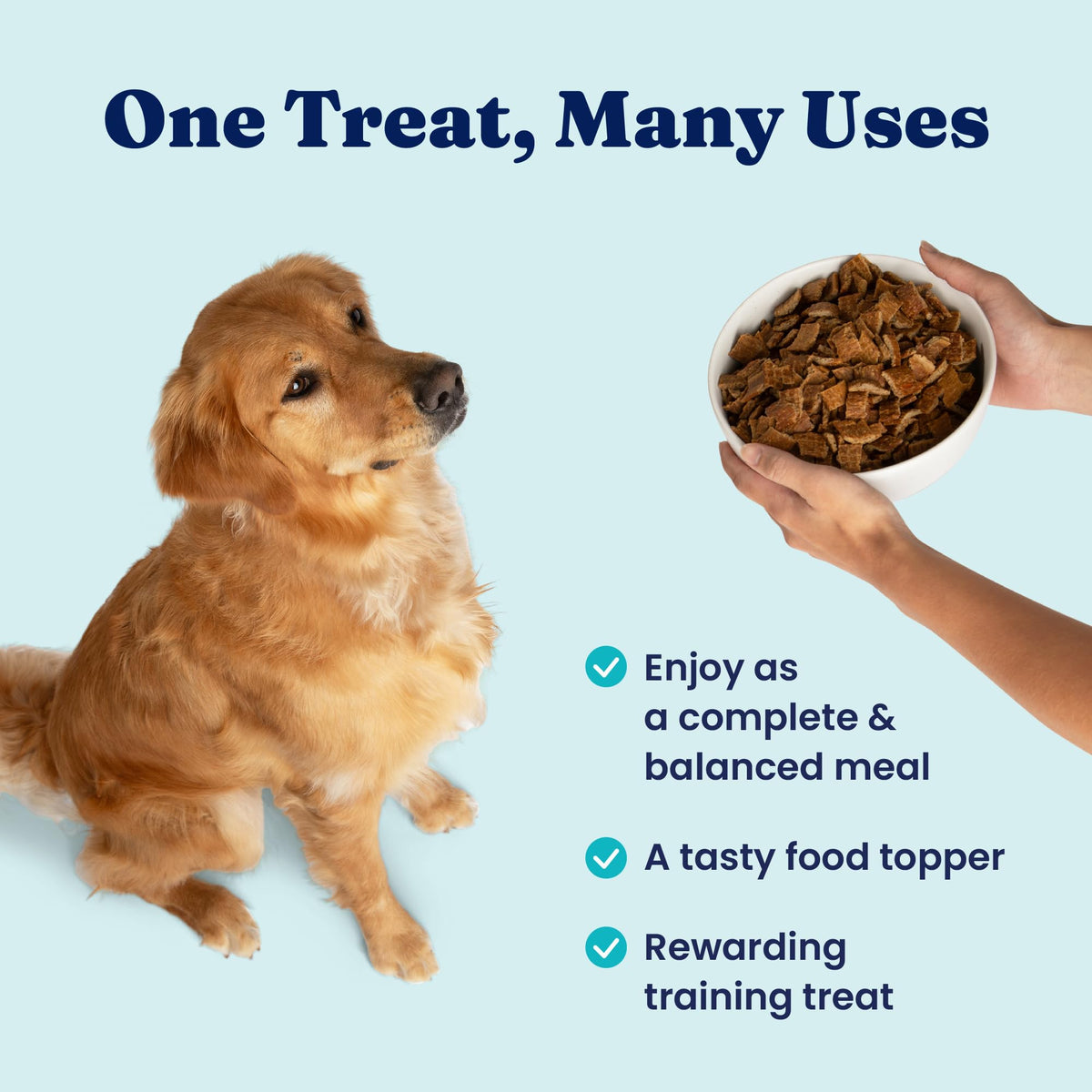Air Dried Dog Food Topper & Treats Beef 1lb O943