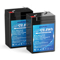 4.5Ah LiFePO4 Battery 2 Pack J235428