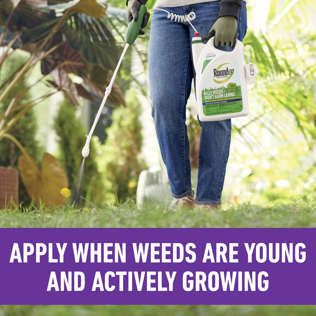 Roundup for Lawns4 Ready-to-Use 1 gal. J497