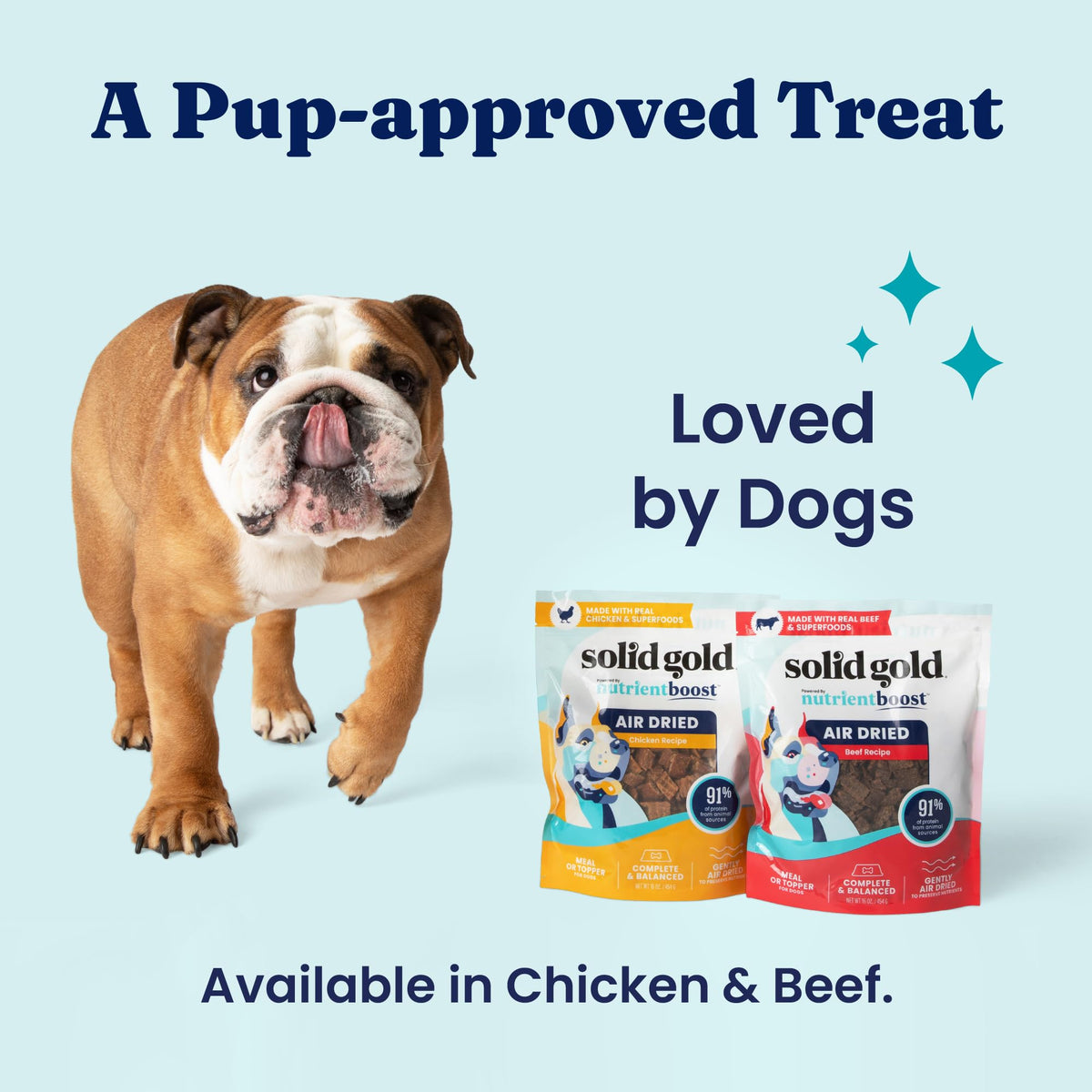 Air Dried Dog Food Topper & Treats Beef 1lb O943