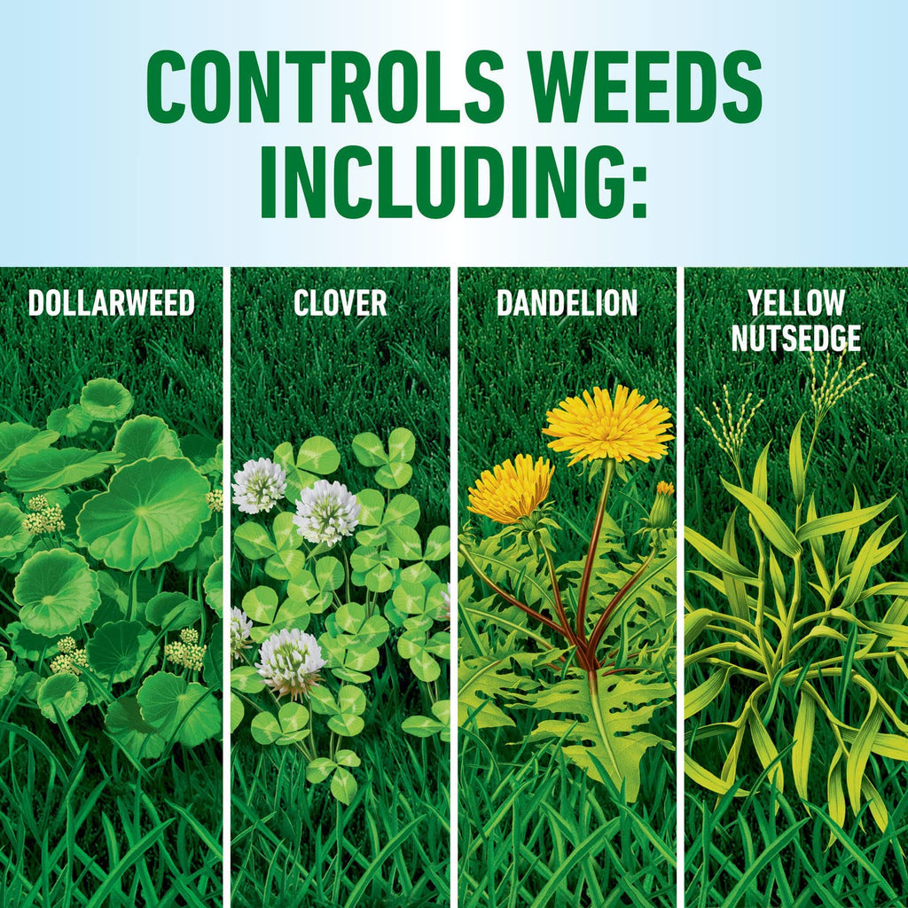 Roundup for Lawns4 Ready-to-Use 1 gal. J497