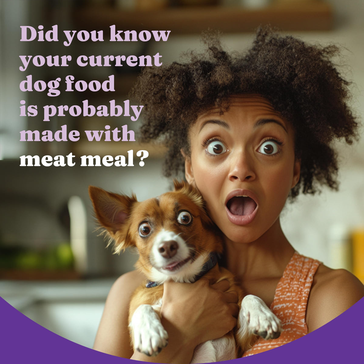 Dry Dog Food, Cage-Free Chicken & Brown Rice Recipe, 21 lb X618