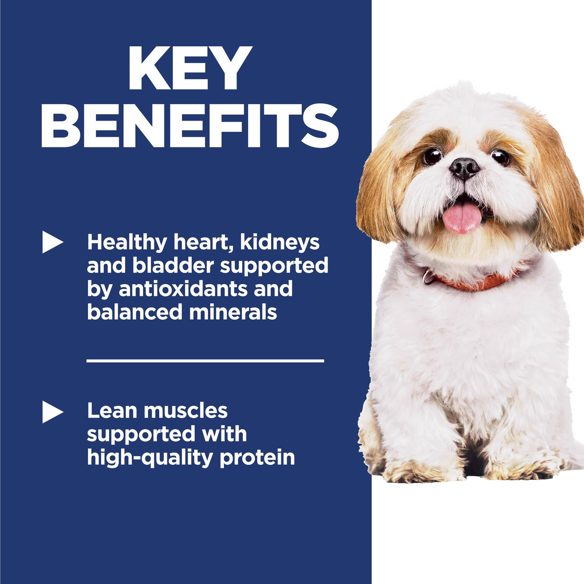 Dry Dog Food L559