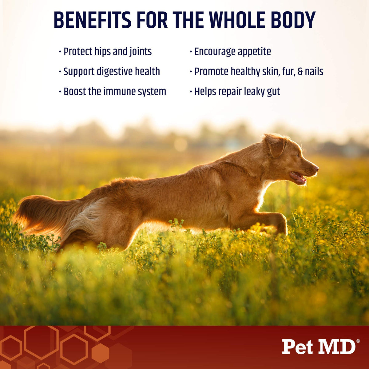 Bone Broth Powder & Wrap A Pill Cheese + Bacon Flavor H251594