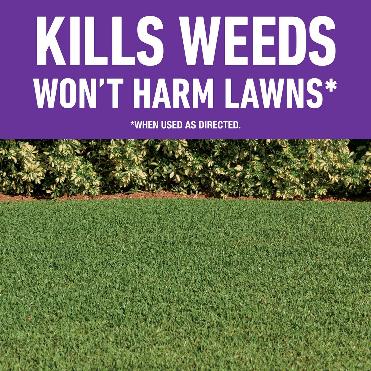 Roundup for Lawns4 Ready-to-Use 1 gal. J497