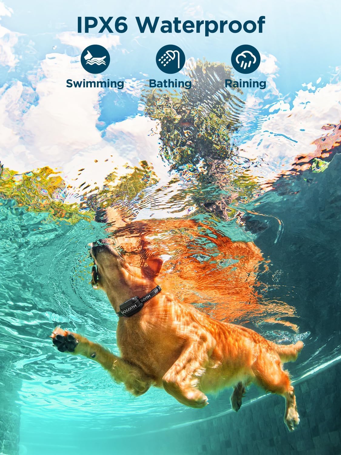 Wireless GPS Dog Fence IPX7 Waterproof G611