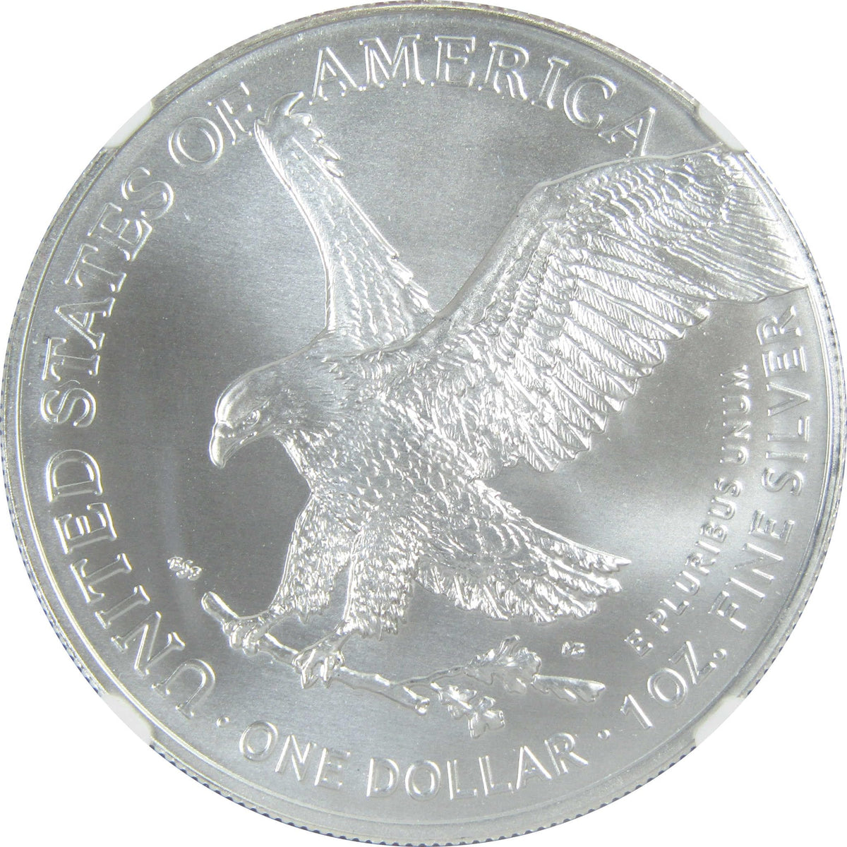 2023 American Silver Eagle Uncirculated $1 Coin H38407