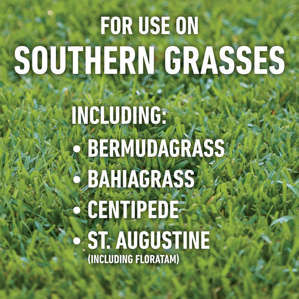 Roundup for Lawns4 Ready-to-Use 1 gal. J497