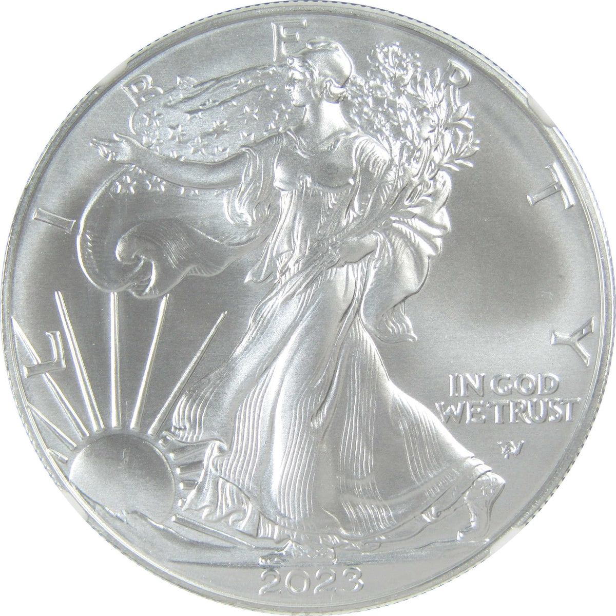 2023 American Silver Eagle Uncirculated $1 Coin H38407