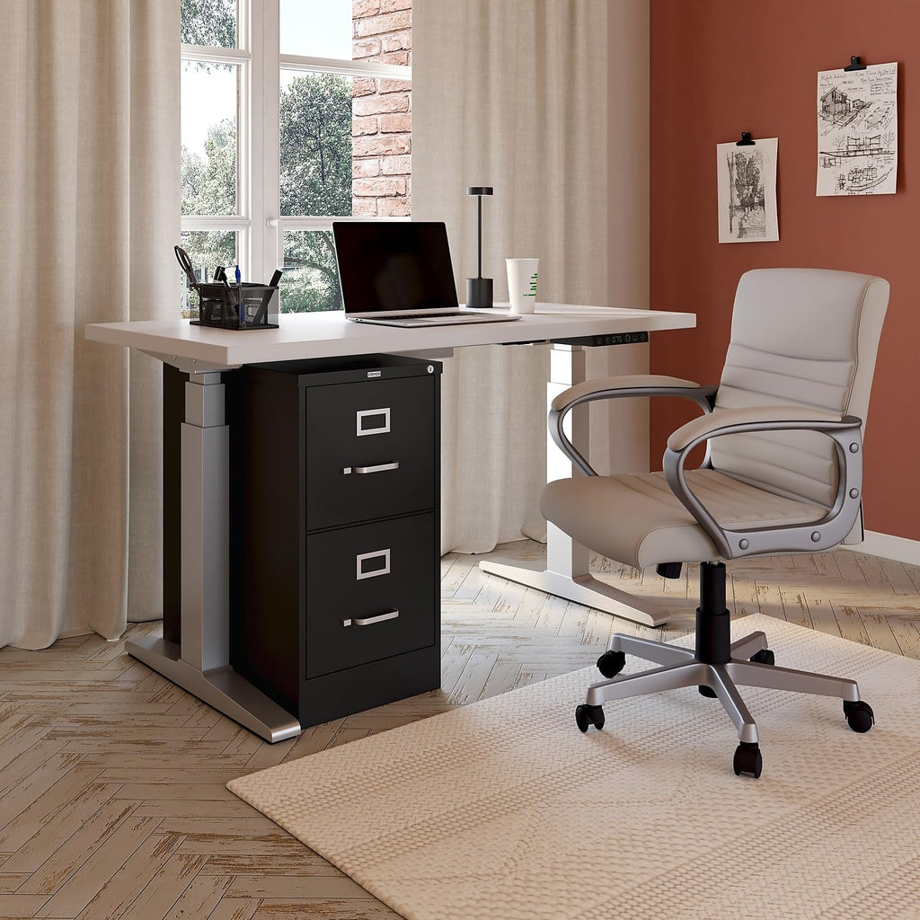 Black 2 Drawer Letter Size Lockable File Cabinet D444