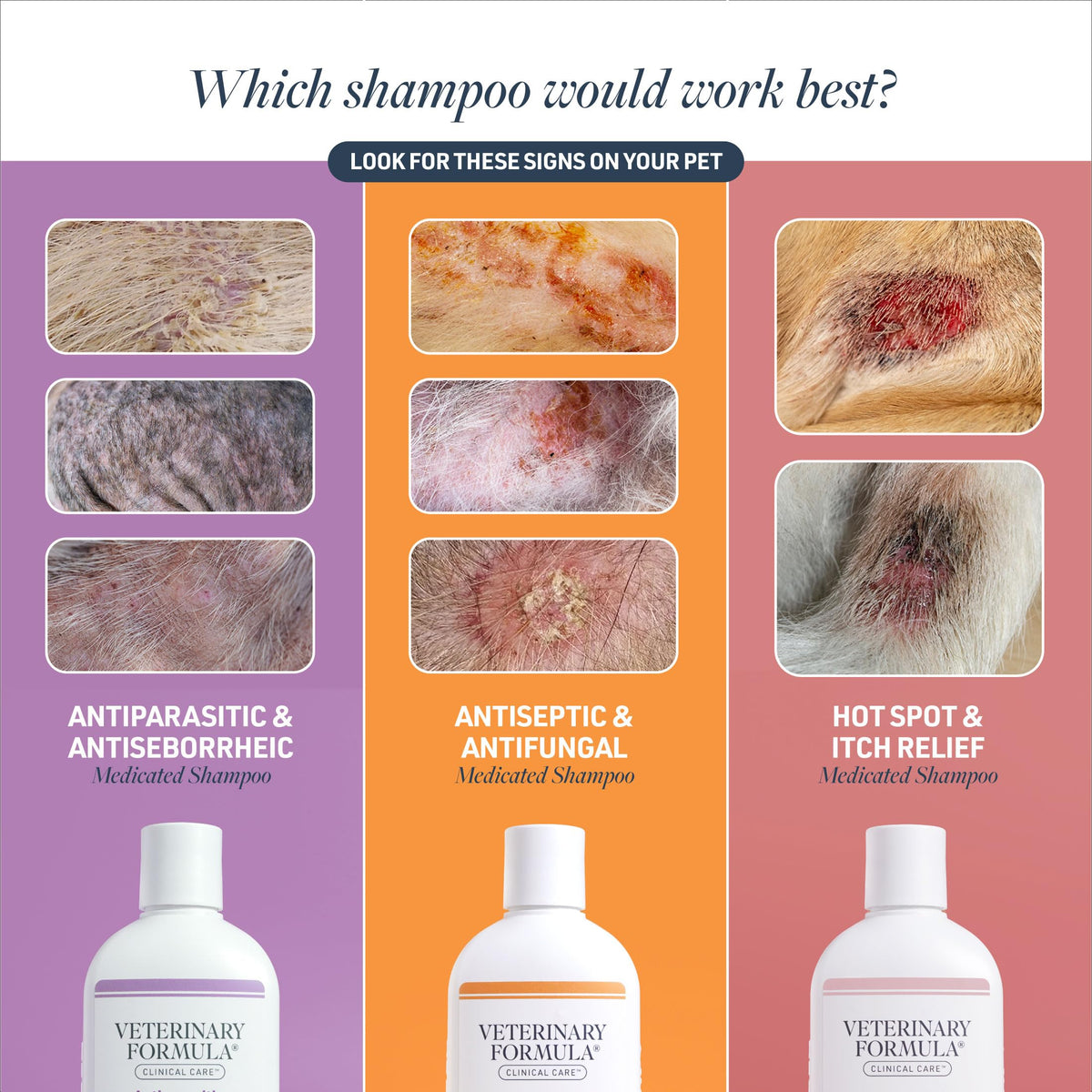 Antiseptic & Antifungal Shampoo, 16 oz X40413